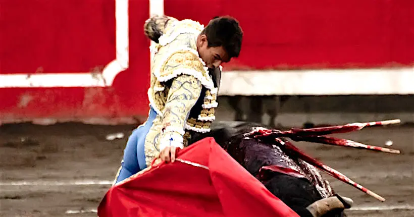 La corrida est définitivement exclue du patrimoine culturel français