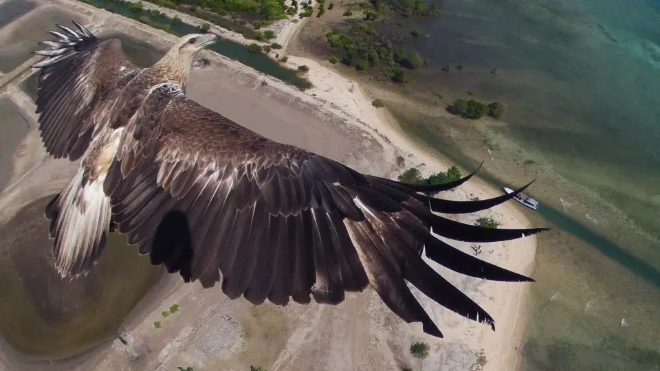 Les plus belles images prises par des drones en 2014
