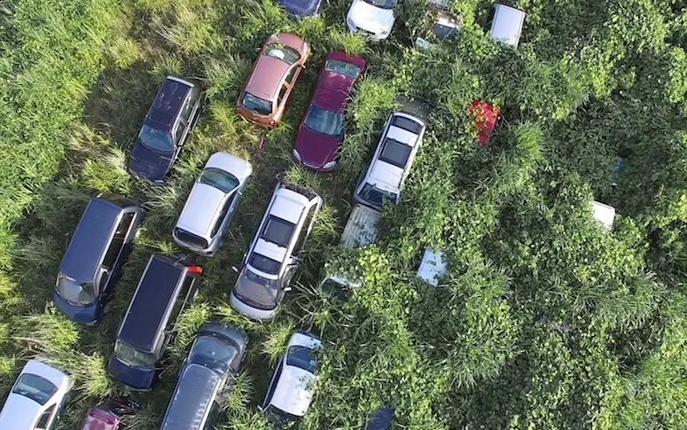 En images : cinq ans après Fukushima, la nature a repris ses droits