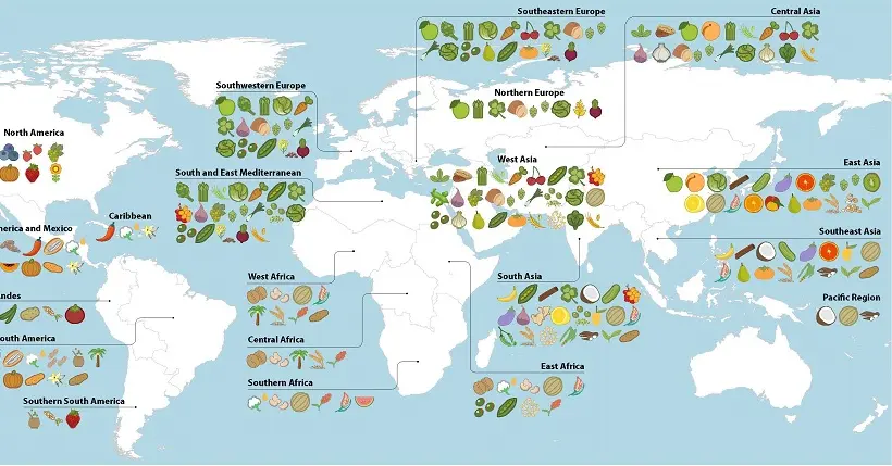 Cette carte vous informe sur la région d’origine des fruits et légumes que vous achetez