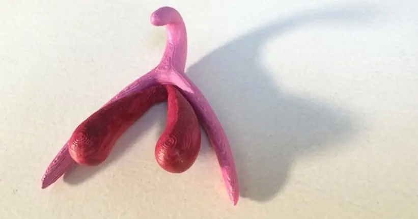 Ce clitoris en 3D va révolutionner l’éducation sexuelle