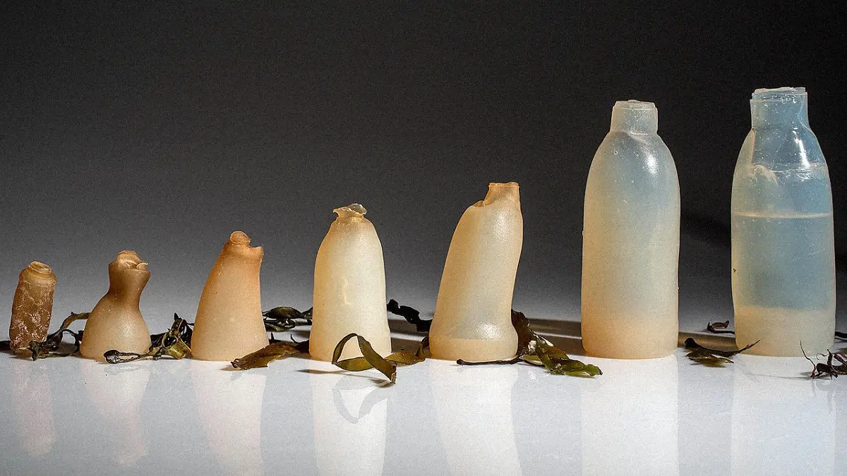 Un étudiant invente une bouteille entièrement biodégradable et 100 % naturelle