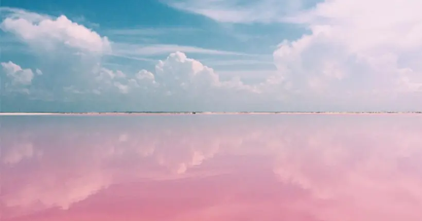 Les images de l’extraordinaire lagon rose du Mexique