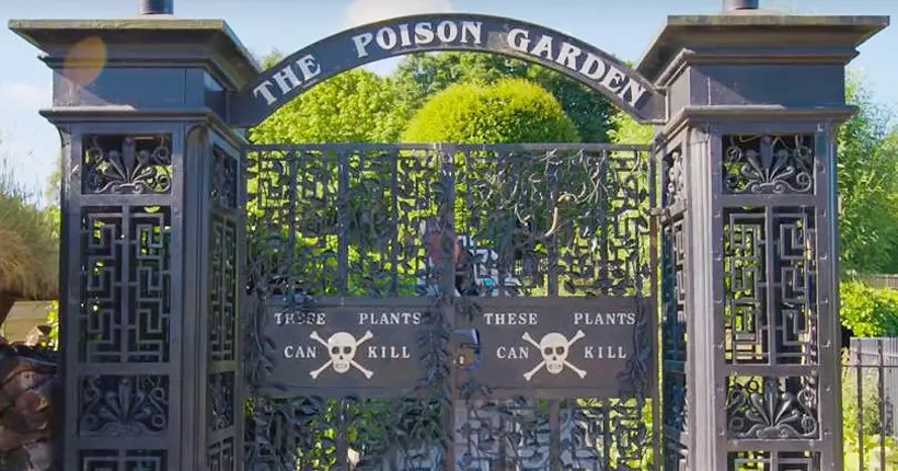 À l’intérieur de Poison Garden, le jardin le plus dangereux du monde