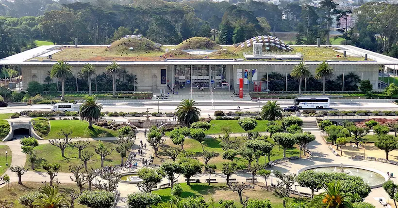 San Francisco veut végétaliser ses toits
