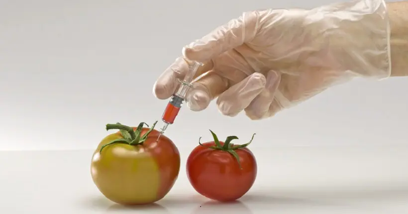 Des chefs alertent sur les dangers de la fusion Monsanto-Bayer pour notre alimentation
