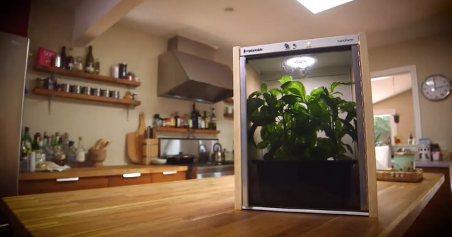 Vidéo : Une mini-serre pour faire pousser des légumes bio dans votre cuisine