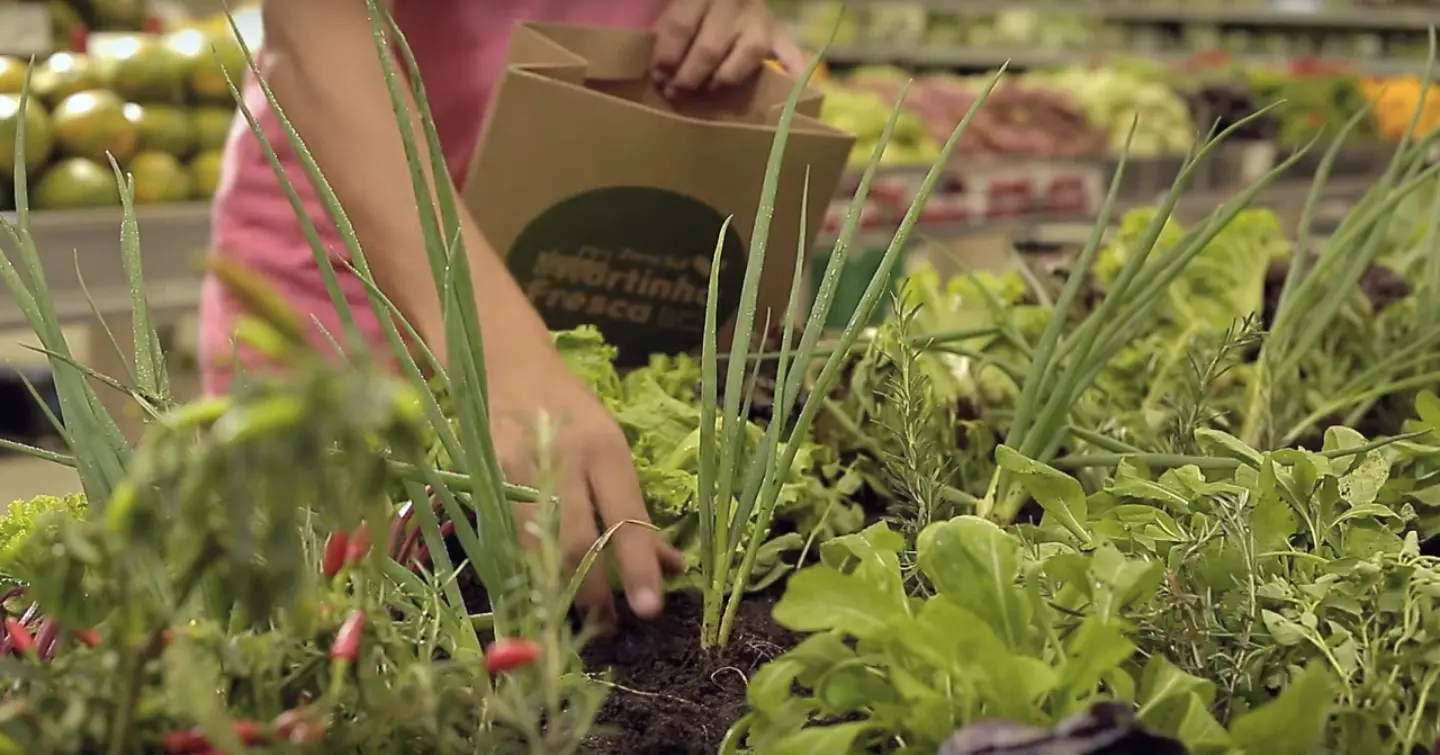 Au Brésil, un supermarché où l’on peut cueillir ses légumes