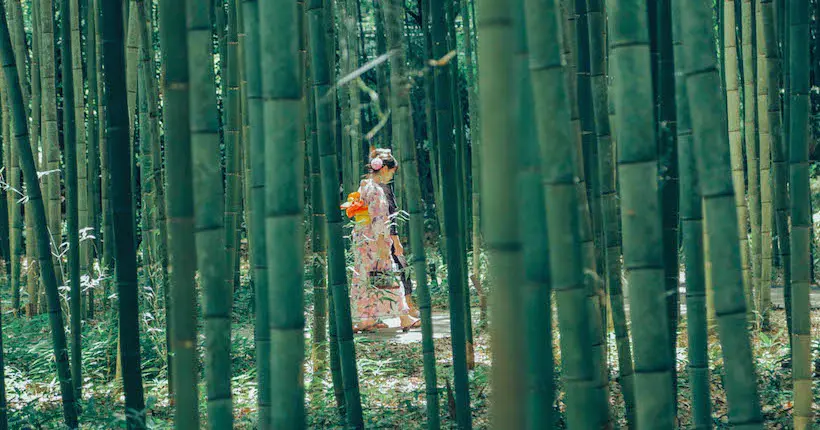 Thibaut Buccellato nous transporte dans un Japon aux couleurs délicates