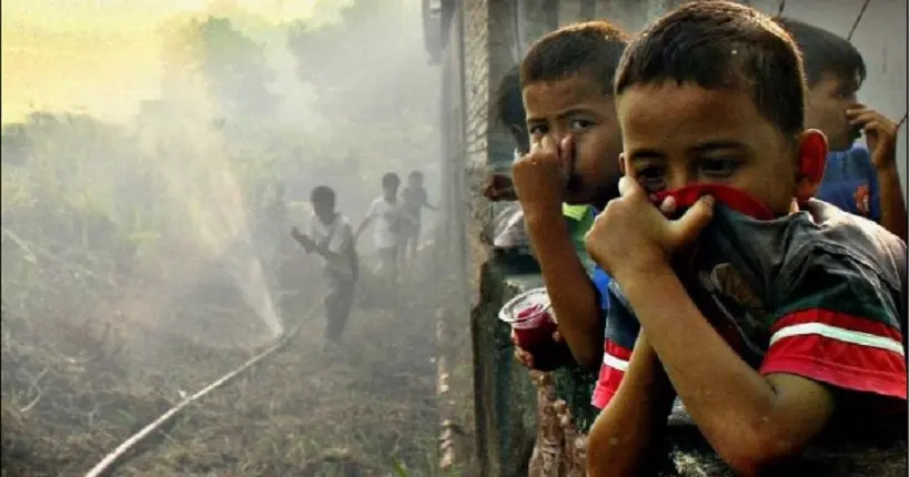 En Asie du Sud-Est, la déforestation serait responsable de 100 000 décès en un an