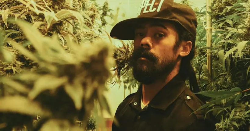 Damian Marley va transformer une prison de Californie en plantation de weed