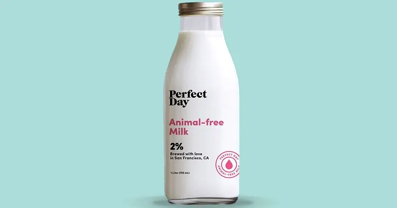 Une start-up lance le lait de vache… sans lait de vache