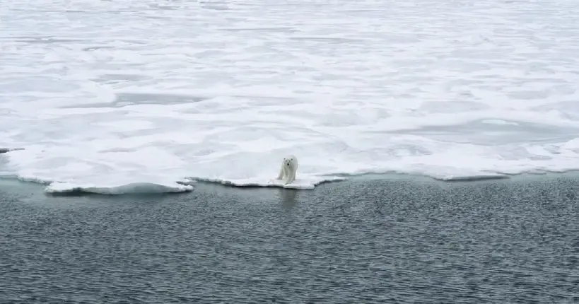 Vidéo : toute la beauté de l’Arctique capturée au rythme d’un poème inuit
