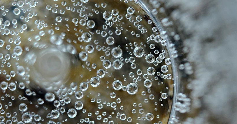 Selon une étude, l’eau gazeuse étanche la soif plus rapidement que l’eau plate