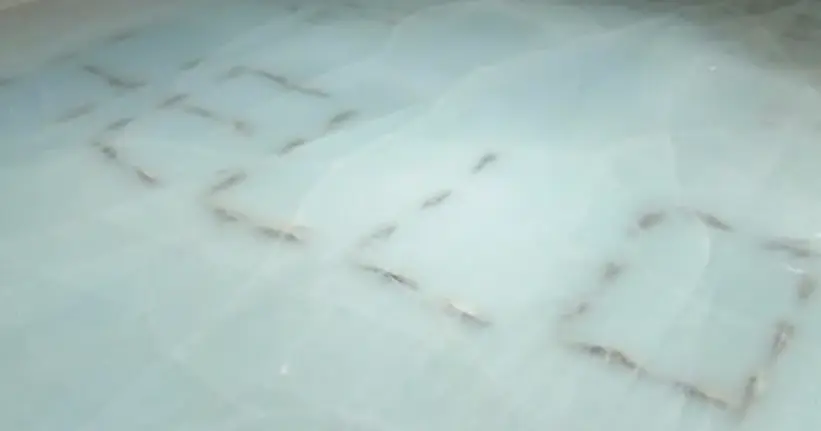 Au Japon, une patinoire crée le scandale en piègeant des milliers de poissons sous la glace