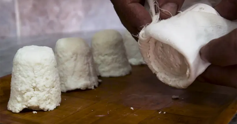 Vidéo : le mystérieux travail de l’homme qui fait du fromage à base de lait d’ânesse