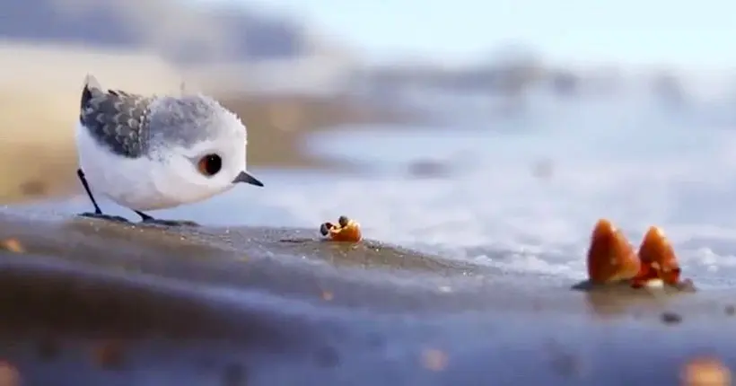 Pixar : le film Piper est la chose la plus mignonne que vous allez voir cette semaine