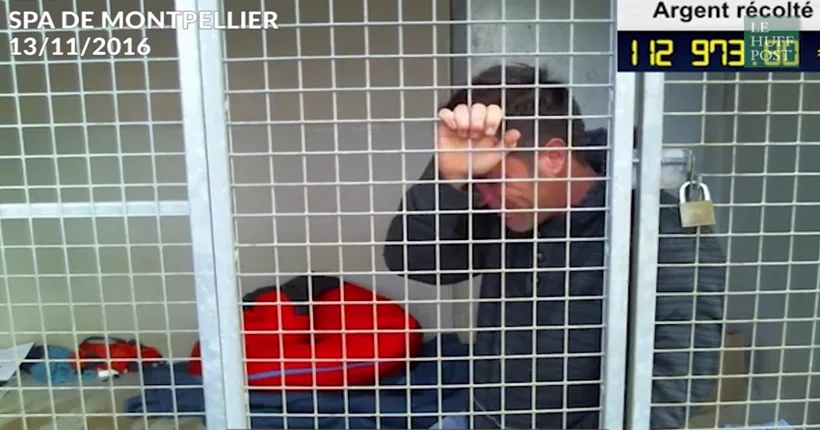 Rémi Gaillard, enfermé depuis trois jours dans une cage de la SPA pour la bonne cause