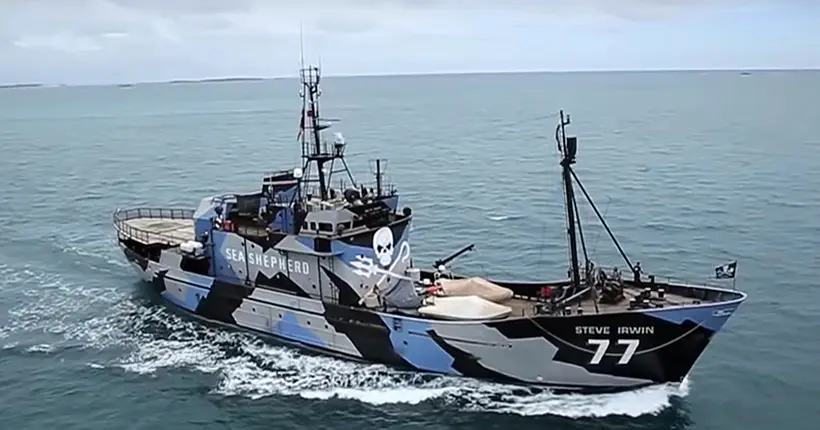 Sea Shepherd lance deux navires à la poursuite des baleiniers japonais