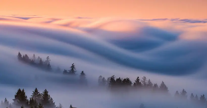 Ce photographe capture des images enivrantes de brouillard