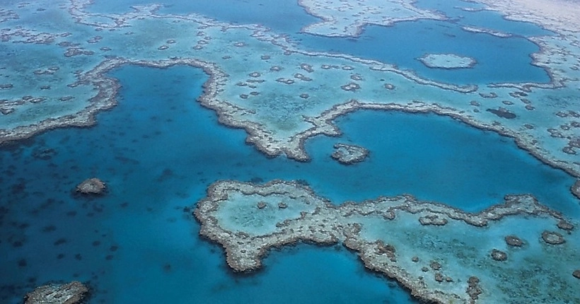 Le blanchissement de la Grande Barrière de corail s’aggrave