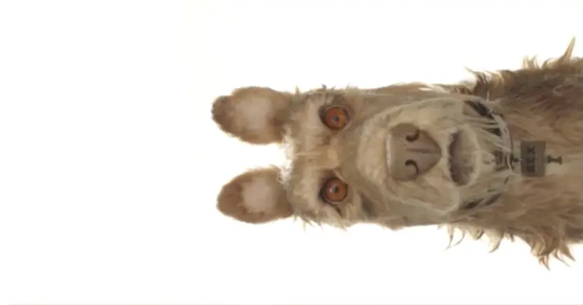 Vidéo : Wes Anderson nous présente son nouveau film d’animation, Isle of Dogs