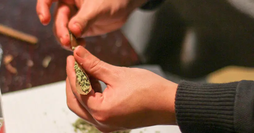 Des députés ont déposé une proposition de loi sur la légalisation du cannabis