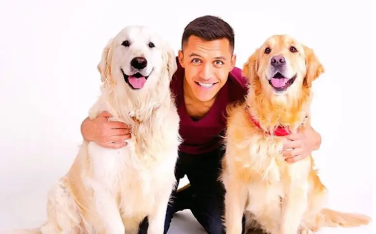 Des fans d’Arsenal lancent une cagnotte pour créer un tifo à la gloire des chiens d’Alexis Sánchez