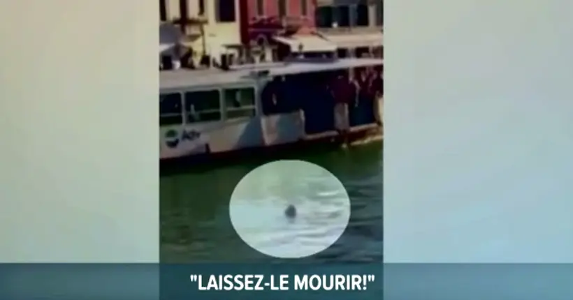 Un réfugié se noie à Venise sans qu’aucun passant ne vienne le secourir