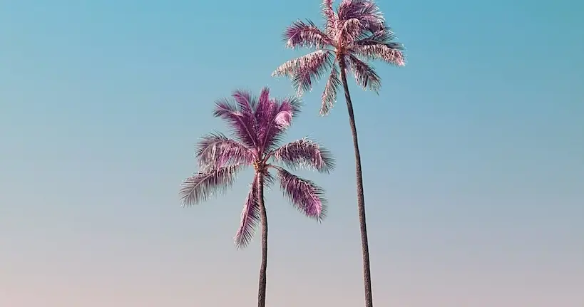 Voyagez à Hawaï avec les paysages pop et colorés d’Arytron Page
