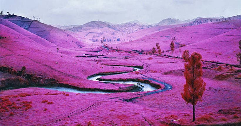 <p>© Richard Mosse</p>
