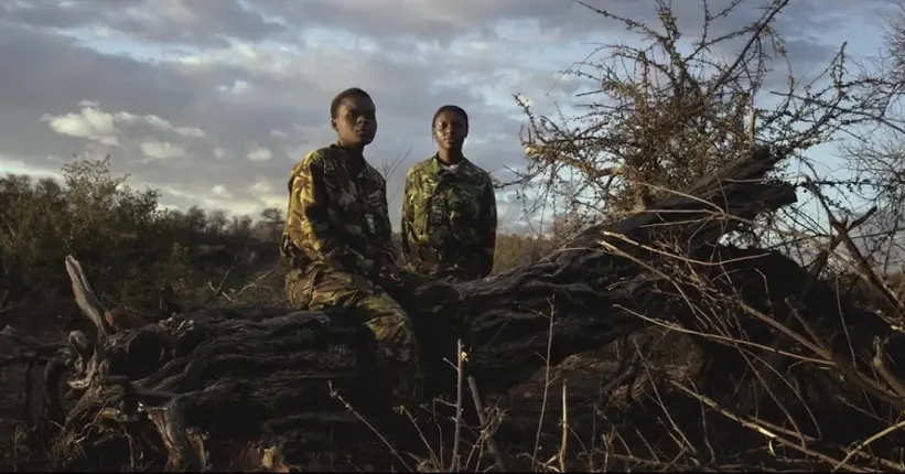 Vidéo : hommage aux Black Mambas, la troupe 100 % féminine qui défend les rhinos