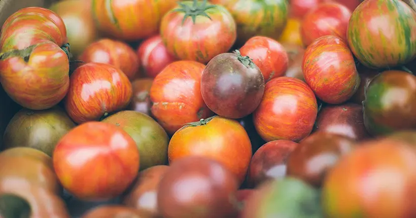 Grâce à la science, la recette perdue du goût de la tomate a été retrouvée