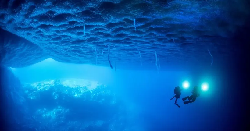 Docu : plongée fascinante dans les fonds marins inexplorés de l’Antarctique