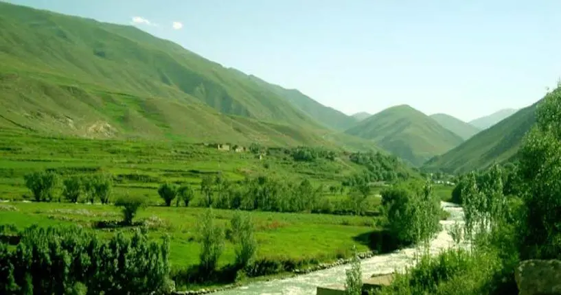 Pris d’une envie de vert, les talibans invitent tous les Afghans à se mettre au jardinage