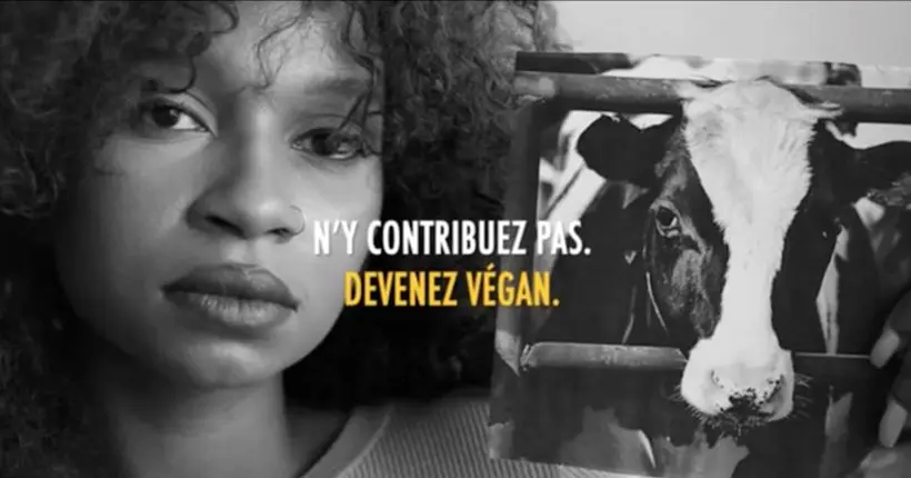 Vidéo : quand Peta compare l’insémination artificielle des vaches au viol des femmes