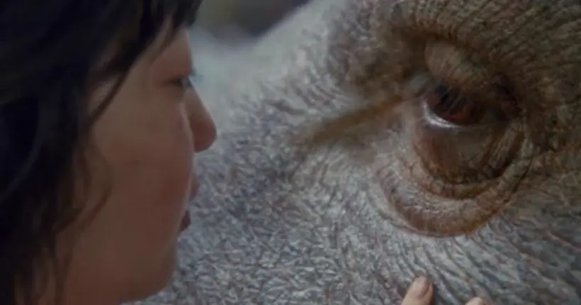 Teaser : après Snowpiercer, Bong Joon-Ho revient avec le prometteur Okja