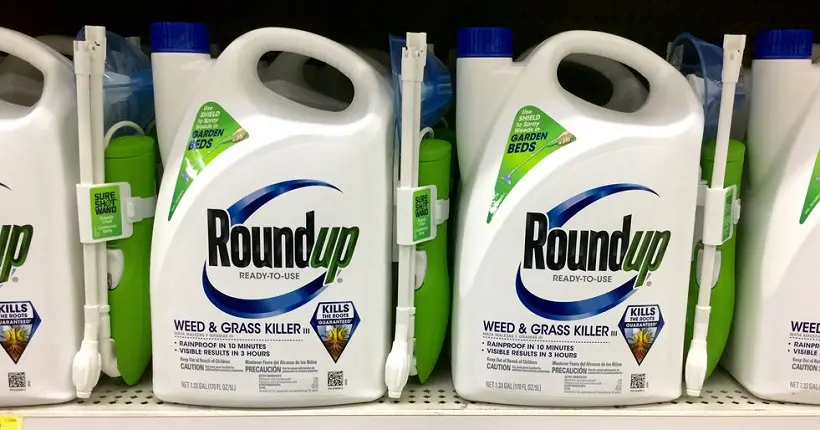 Monsanto connaissait les dangers du glyphosate depuis 1999, selon des documents internes