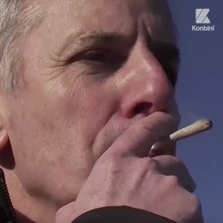 Vidéo : quand Bernard de La Villardière conduit sous l’emprise du cannabis