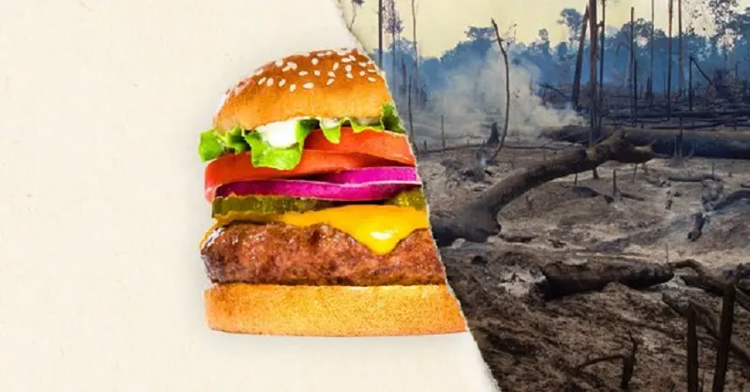 Burger King accusé par les ONG d’être lié à la déforestation massive en Amérique du Sud