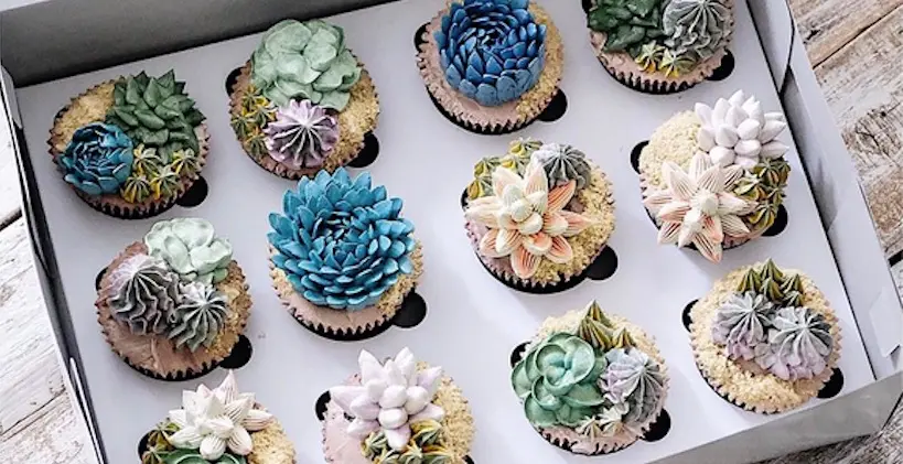Terrarium cakes : ces succulentes créations en glaçage