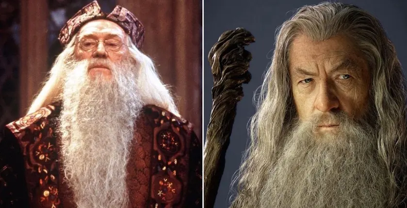 Ian McKellen révèle pourquoi il a refusé le rôle de Dumbledore