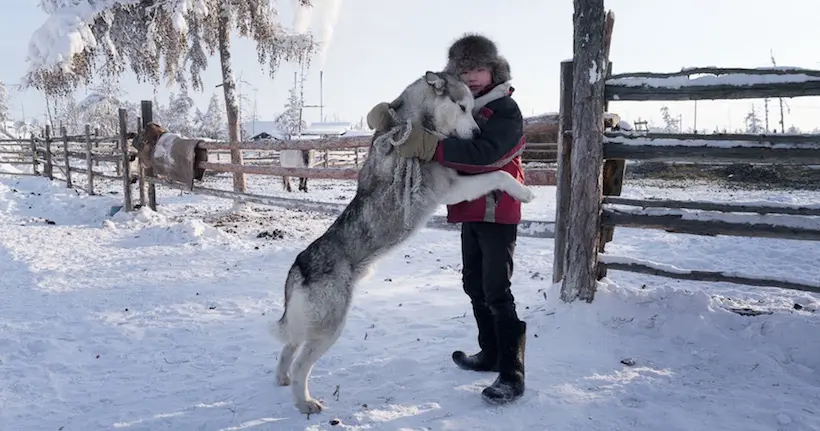 Interview SMS : steppe sibérienne et chiens de traîneau sous l’objectif de Brice Portolano