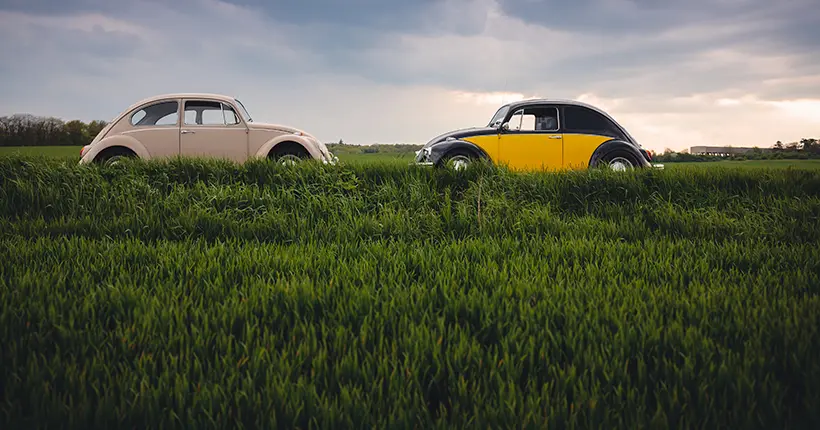 Des chercheurs découvrent un “raccourci” pour changer l’herbe en biocarburant