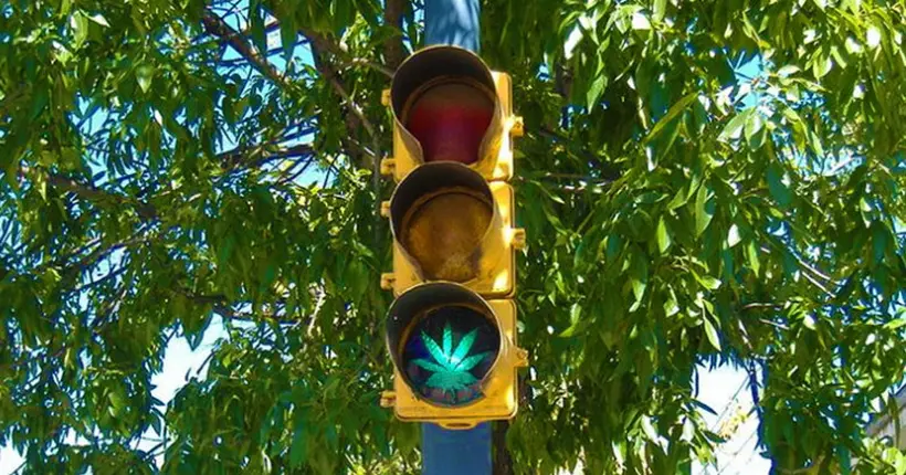 L’Argentine vient de légaliser le cannabis à usage thérapeutique