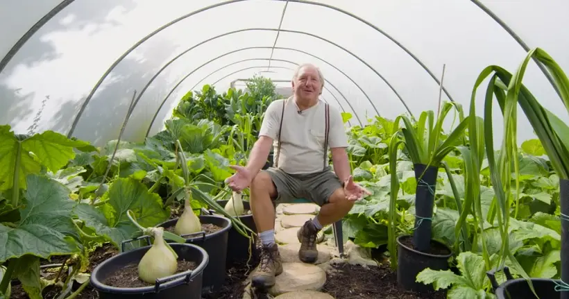 Vidéo : rencontre avec l’agriculteur bio qui fait pousser les plus gros légumes du monde