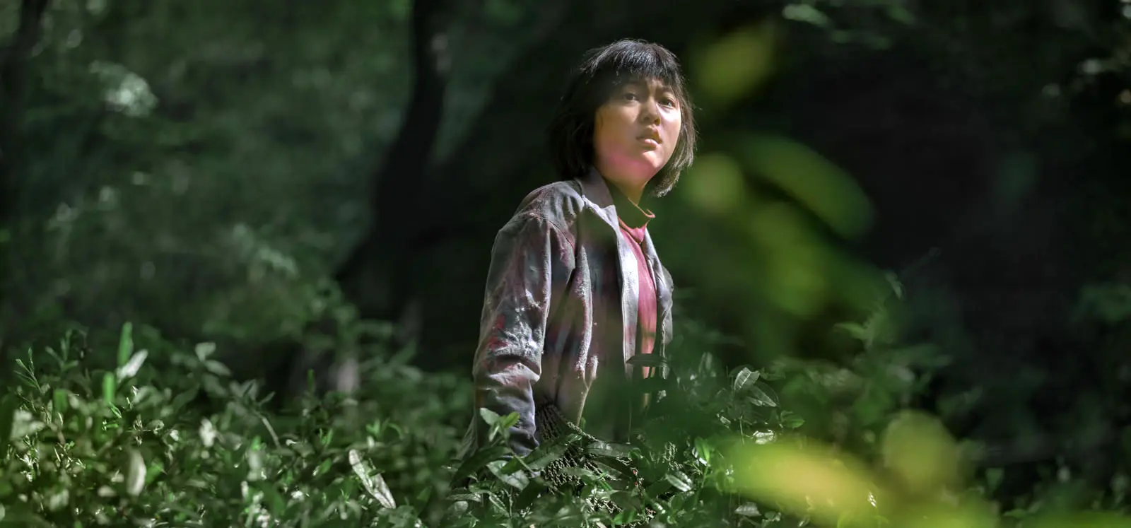 Avec l’emballant Okja, Netflix réussit son entrée à Cannes