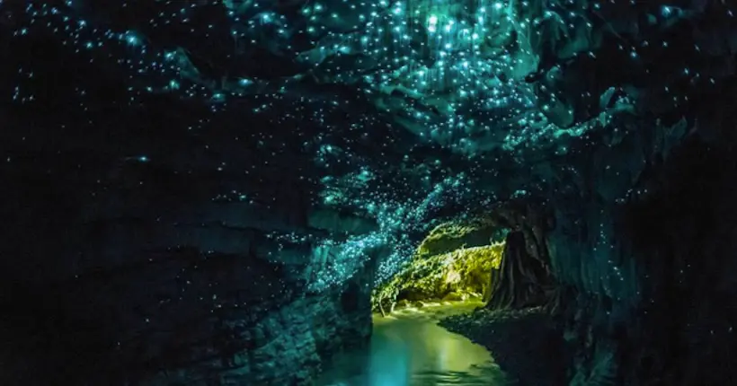 20 000 lieux sur la Terre : les féeriques lueurs des grottes de Waitomo