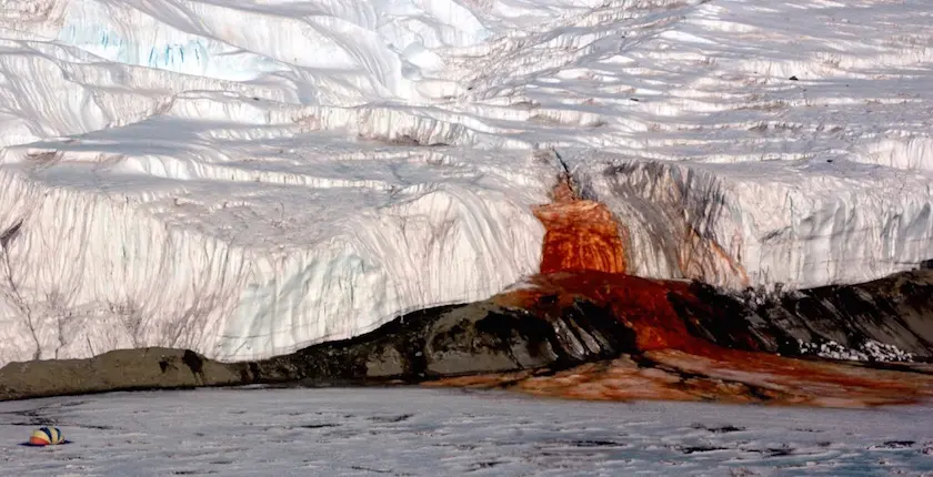 20 000 lieux sur la Terre : le secret des “cascades de sang” de l’Antarctique