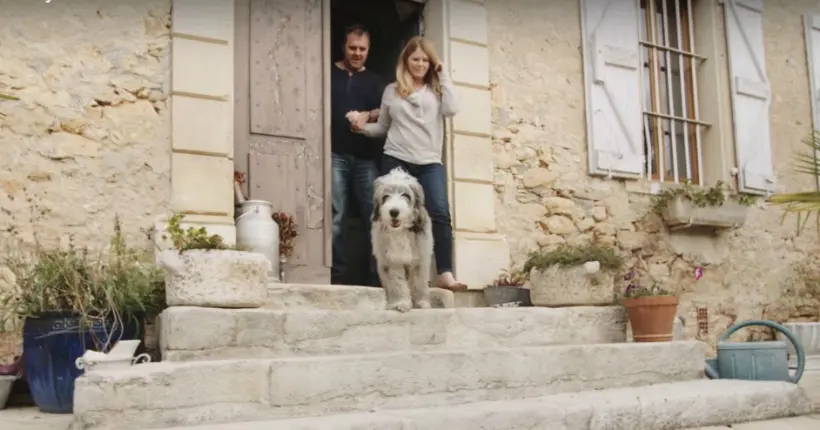 Le housesitting, une manière intelligente de combiner amour du voyage et des animaux